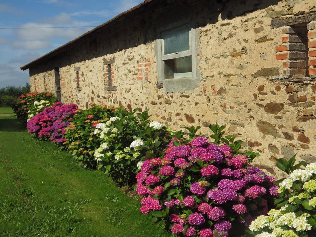 Bed and Breakfast A la Haute Bouillere à Chavagnes-les-Redoux Extérieur photo