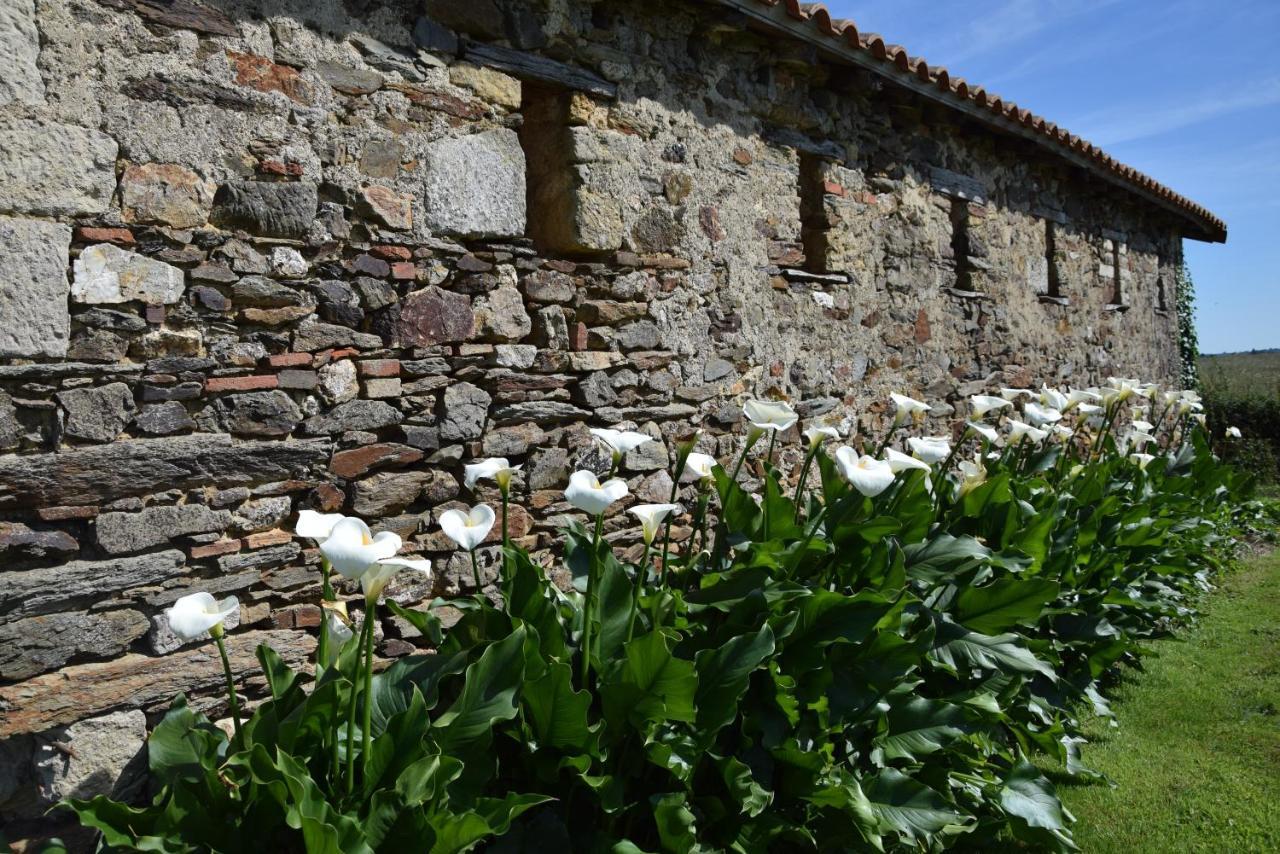 Bed and Breakfast A la Haute Bouillere à Chavagnes-les-Redoux Extérieur photo